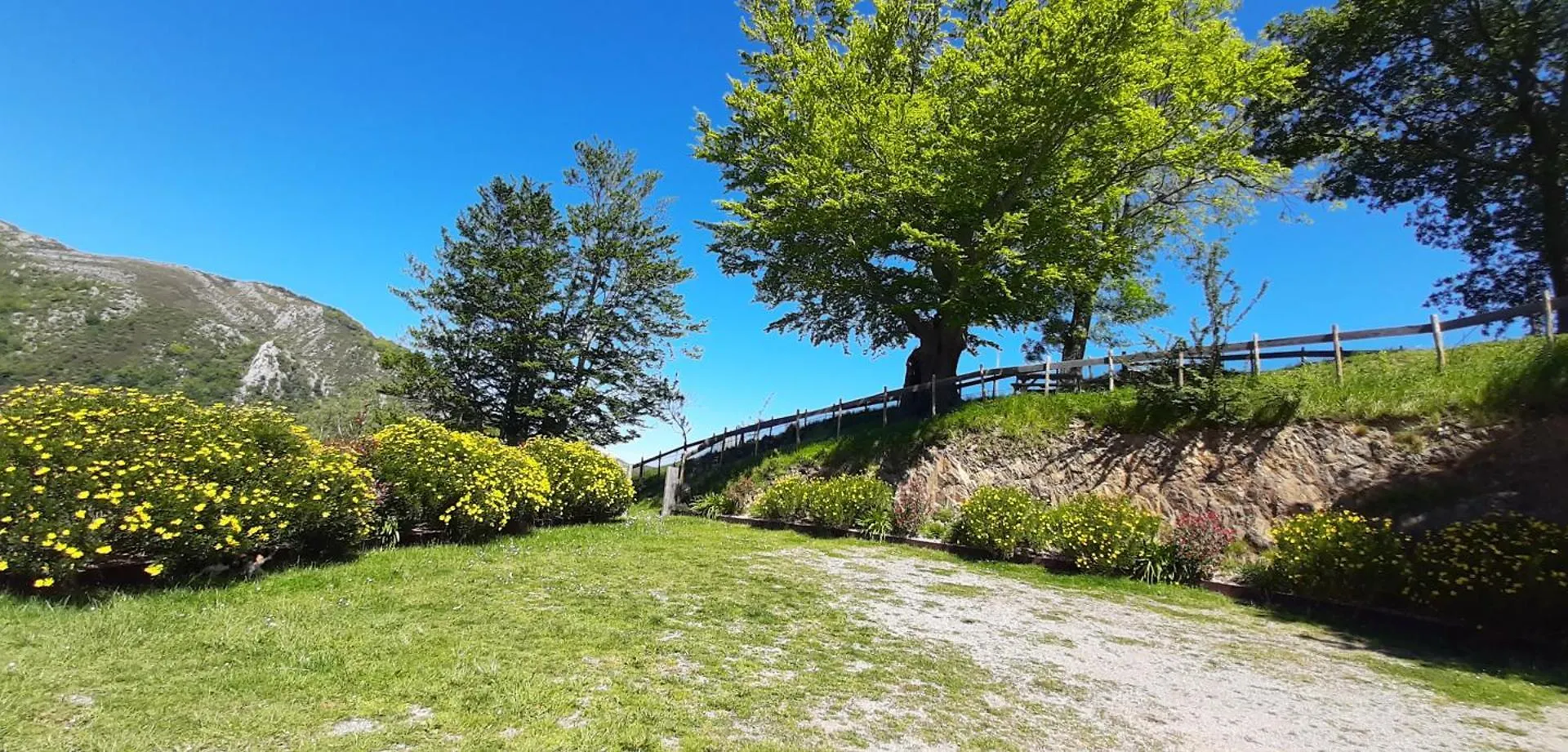 アパート Ondarbaso Apartamentos Rurales II セストア スペイン